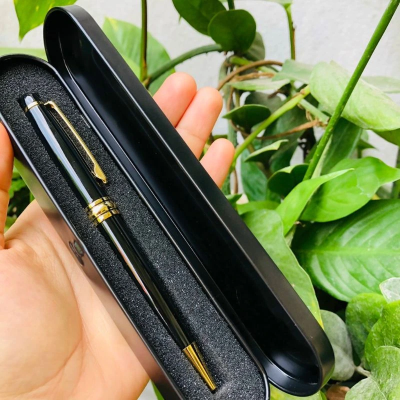 Ảnh thật nguồn một bút BKV 006 đen vàng bản trống trong hộp đen, giữ bàn tay và lá cây trong ảnh